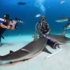 Cristina Zanato inmoviliza a dos tiburones a la vez